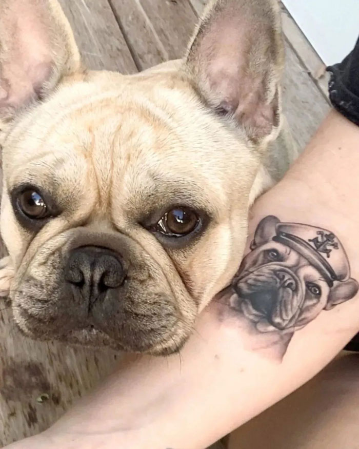 A realistic bulldog tattoo on an arm, matching the actual dog sitting beside it, showcasing simplicity and realism in animal tattoos.