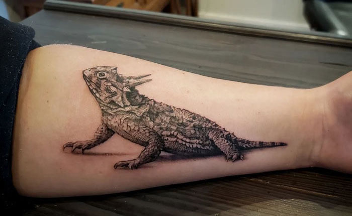 Animal tattoo of a detailed horned lizard on an arm, showcasing intricate design and texture.