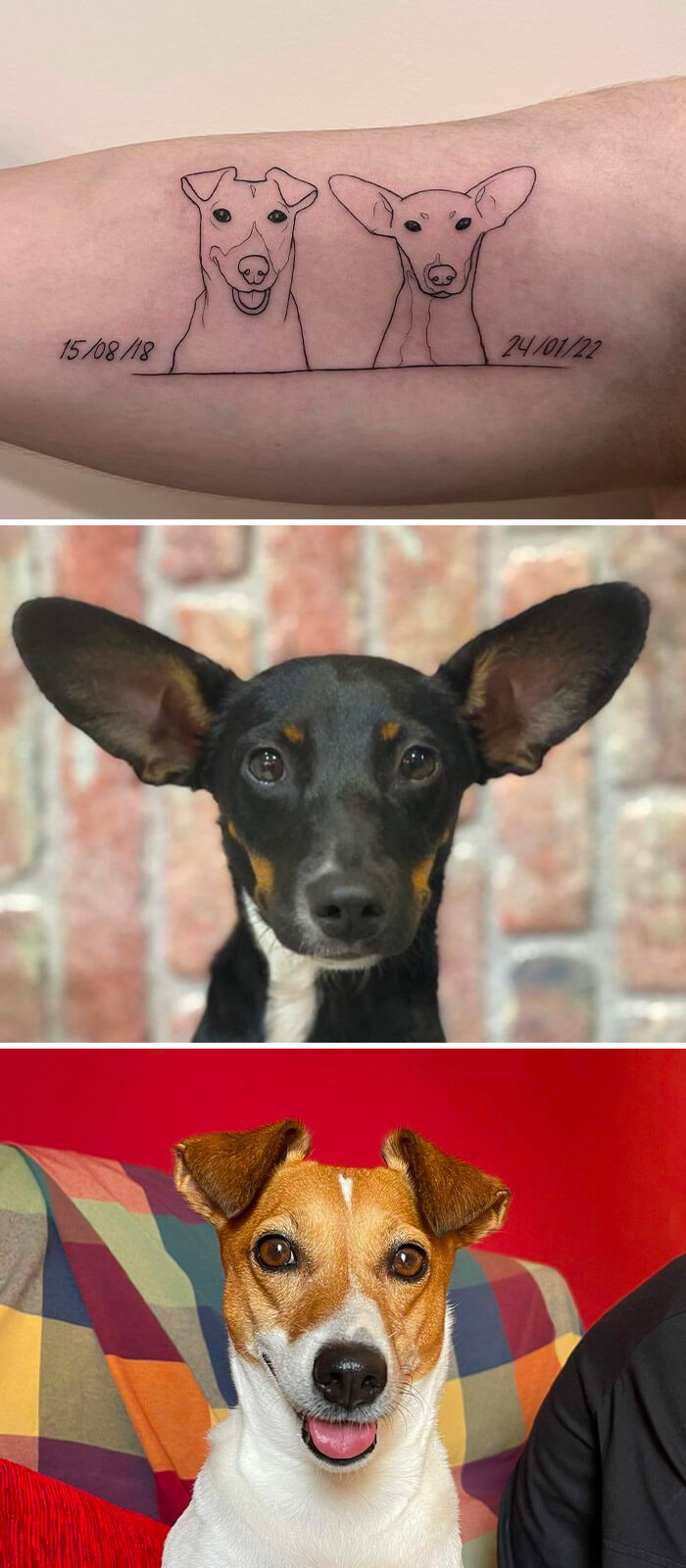 Animal tattoo of two dogs with dates, inspired by real pet photos—perfect for pet lovers.