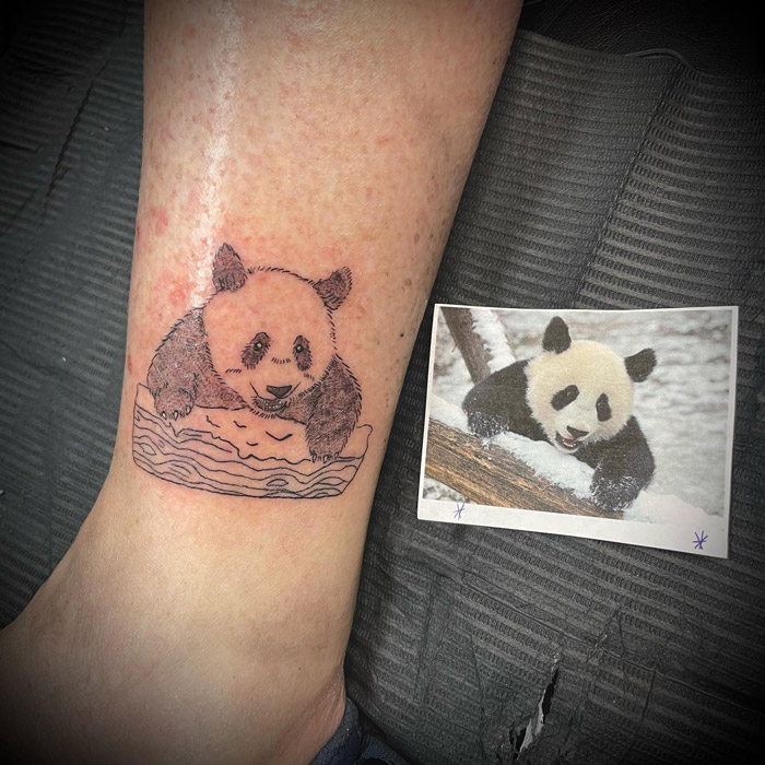 Panda tattoo on forearm with reference photo, showcasing animal kingdom art.