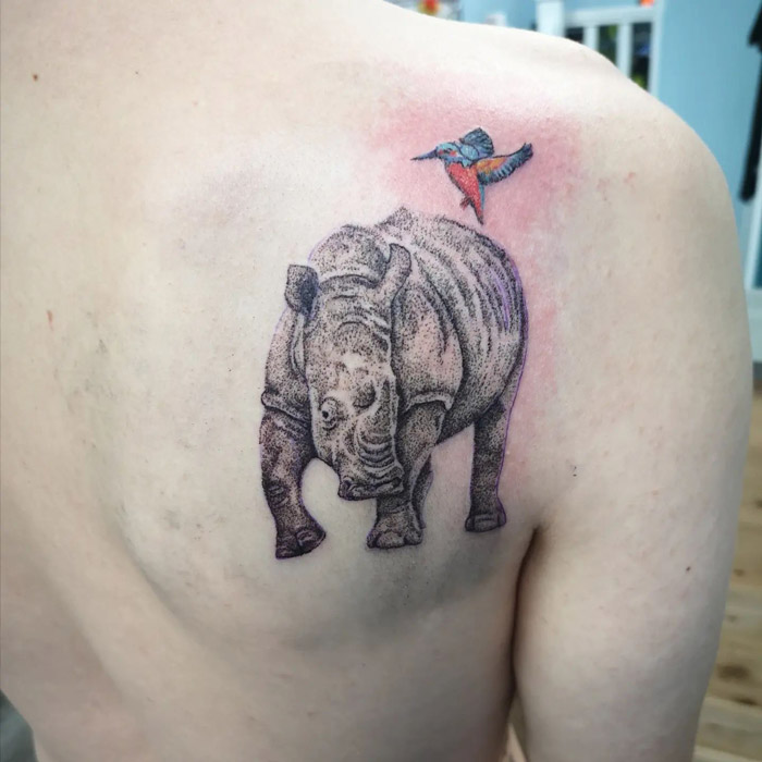 Rhino and hummingbird animal tattoo on back, showcasing animal kingdom art.