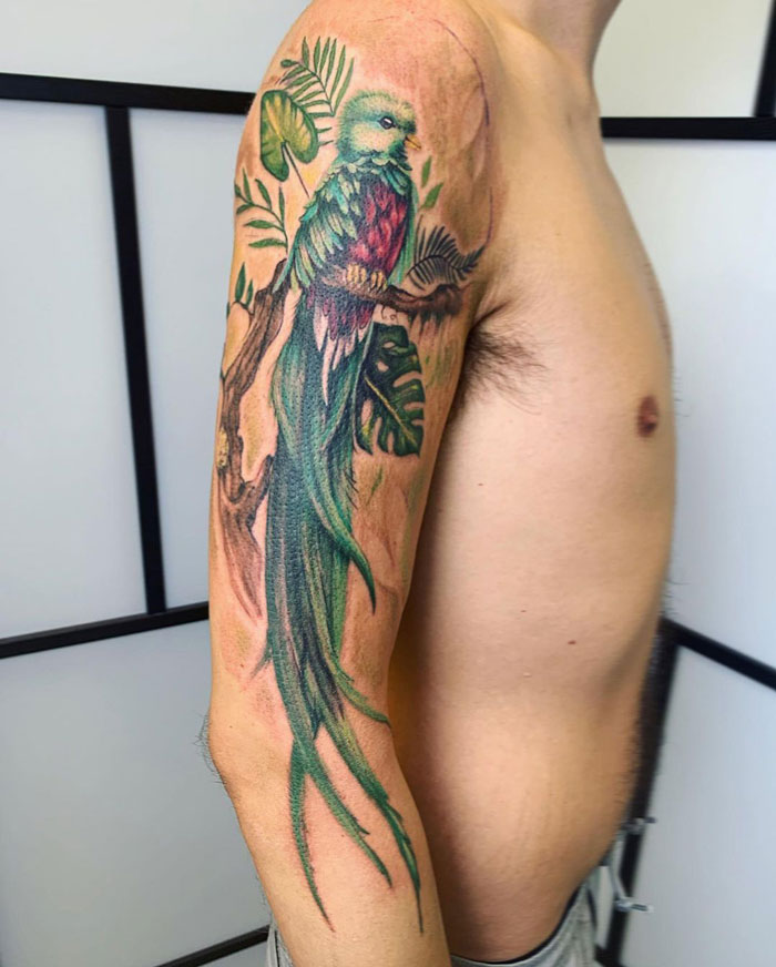 Realistic animal tattoo of a vibrant bird on a person's upper arm, showcasing detailed artistry.