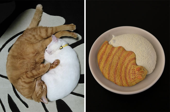 Animals-Funny-Sculptures-Meetissai