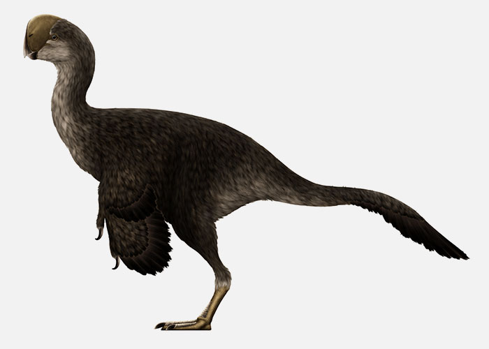 30 Animals That People Are Scared Of Or Don't Like When They Really Shouldn't, As Shared In This Online Thread