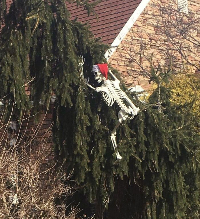 Respuesta de un vecino al correo electrónico de la HOA sobre retirar la decoración de Halloween. Ahora es una decoración de Navidad