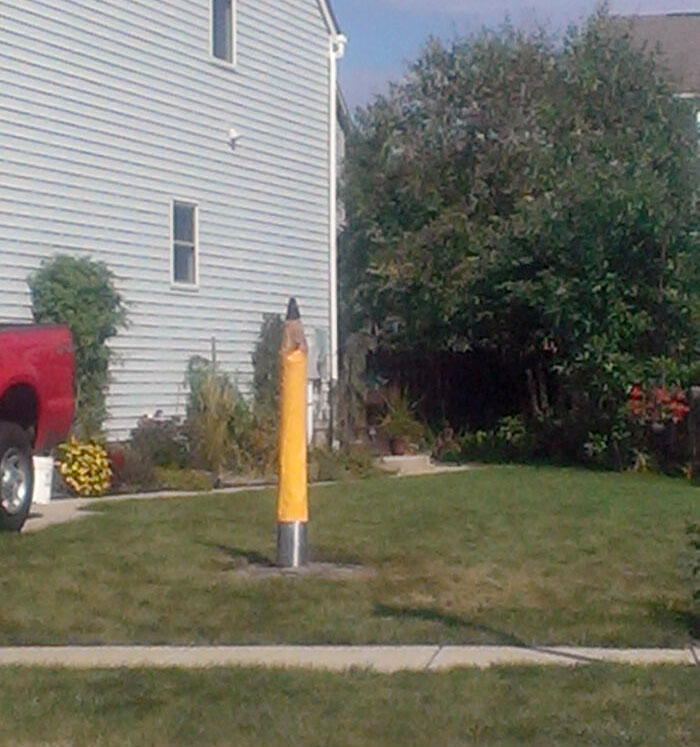 Mi vecino recibió una carta de la HOA diciendo que su árbol debía ser cortado. Esto es lo que hizo con el tronco