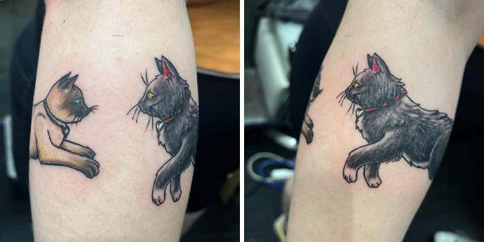 Cat-themed armband tattoos on forearm, featuring a Siamese cat and a fluffy black cat, displaying unique design ideas.