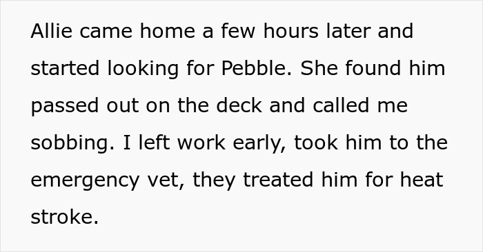Family Drama Ensues After Daughter Forgets About Their Dog And Costs Family Almost $2,000 In Vet Bills Family Drama Ensues After Daughter Forgets About Their Dog And Costs Family Almost $2,000 In Vet Bills