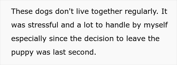Woman Refuses To Let Down A Client Who Booked A Year In Advance Just So Parents Can Go On A Dog-Free Trip, Gets Called A Jerk