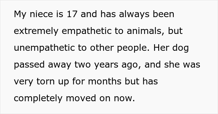 Woman Asks If She&rsquo;s A Jerk For Yelling At Her Niece That The Teen&rsquo;s Dog Is Not Comparable To Her Child