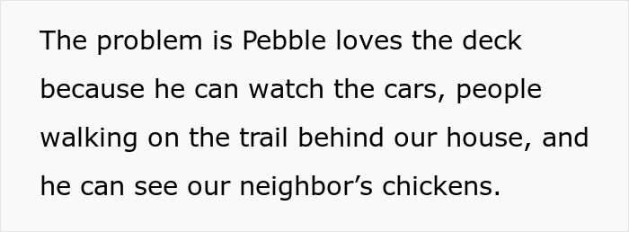 Family Drama Ensues After Daughter Forgets About Their Dog And Costs Family Almost $2,000 In Vet Bills Family Drama Ensues After Daughter Forgets About Their Dog And Costs Family Almost $2,000 In Vet Bills
