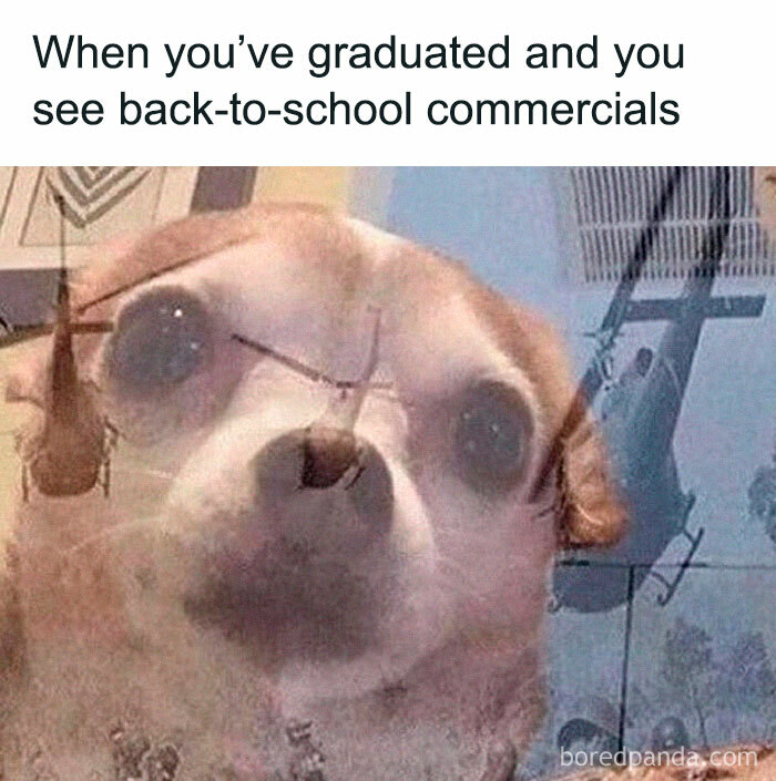 Back-To-School-Tweets