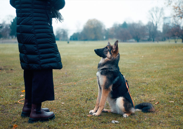 30 Older Internet Users Share The Things They Want Everyone Who's 30 And Under To Know About Life