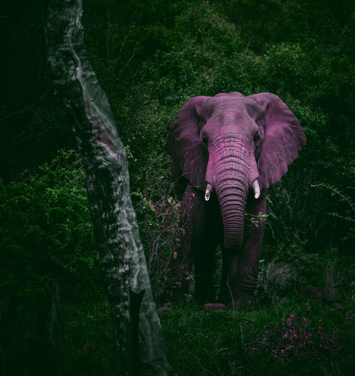 30 Incredibly Useful Things People Heard While In Therapy