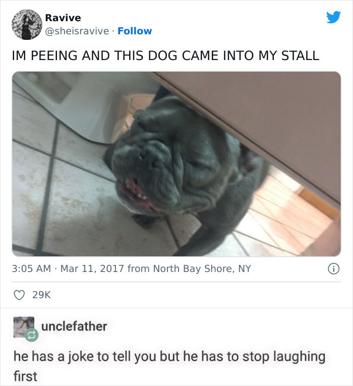 Blessed Little Doggo