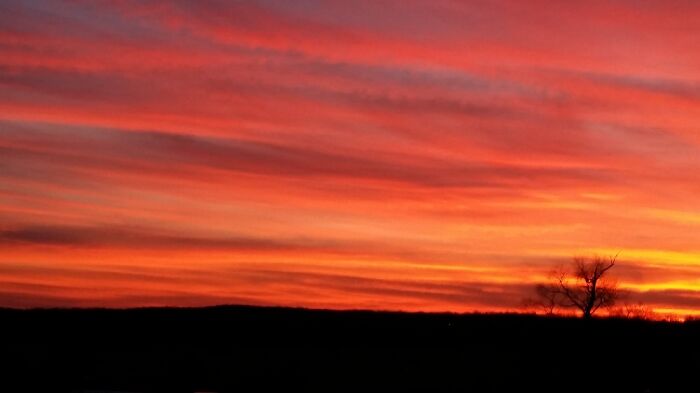 One Of The Most Vibrant Sunsets I Have Ever Seen