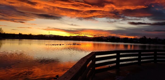 Neighborhood Lake At Sunset