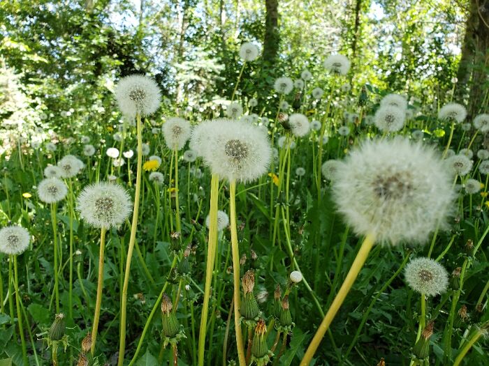 There's Always That One Person In The Family That Can't Pose Like The Rest