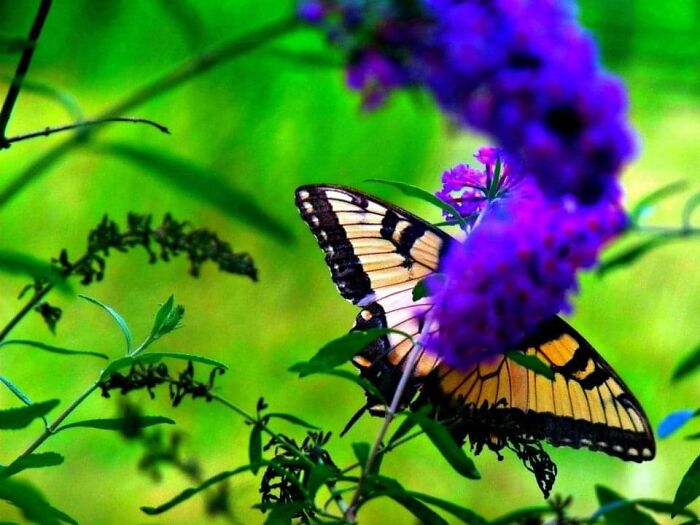 Believe It Or Not...i Took This With A Flip Phone