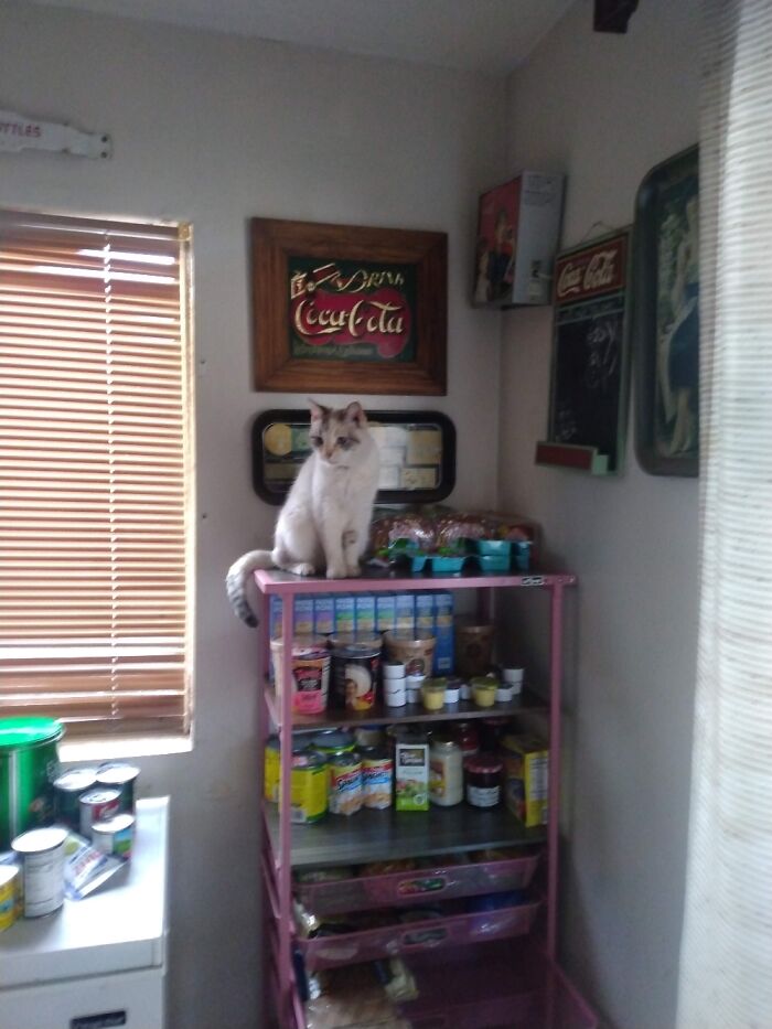 A Pic Of My Typsy 14yrs Enjoying Her Days Love Her So Much 💖