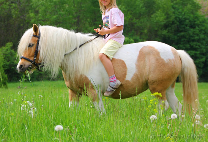 Mom Online Asks If She Was Too Harsh To Her Friend After She Confessed Taking Her 4 Y.O. Daughter To See Horses