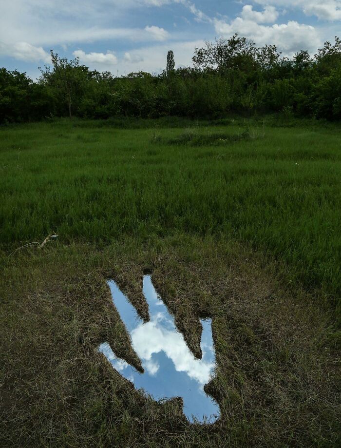 Things-Only-Get-Weirder