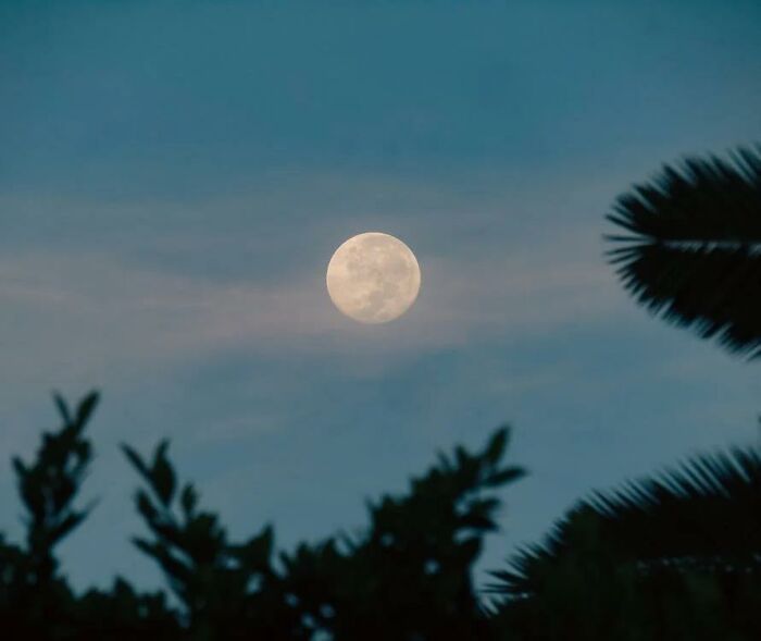 Someone Asked "What Is A Fun Fact That Is Mildly Disturbing?" And 35 People Delivered