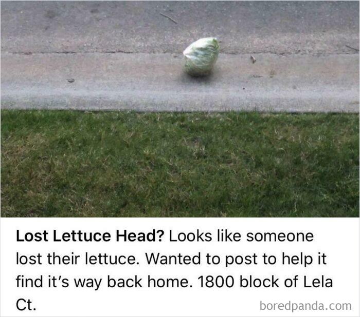 We Will Not Sleep Until She’s Home Safe