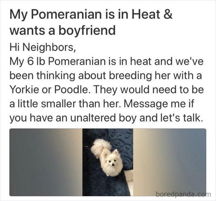 Hi Weirdos Please Get Vaccinated And Enter Back Into Society