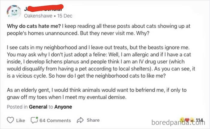 Why Do Cats Hate Me?