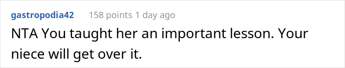 Woman Asks If She&rsquo;s A Jerk For Yelling At Her Niece That The Teen&rsquo;s Dog Is Not Comparable To Her Child