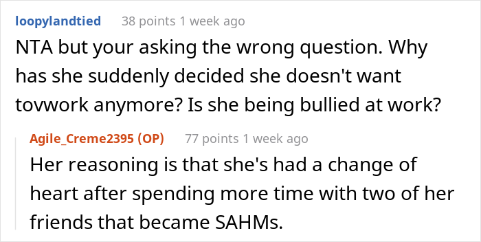 The Internet Backs Husband For "Ruining" Family Dinner Because He Is The Only One Not On Board With Wife's Stay-At-Home Idea