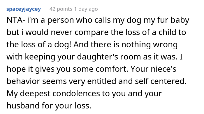 Woman Asks If She&rsquo;s A Jerk For Yelling At Her Niece That The Teen&rsquo;s Dog Is Not Comparable To Her Child