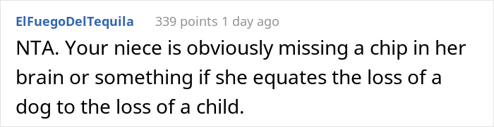 Woman Asks If She&rsquo;s A Jerk For Yelling At Her Niece That The Teen&rsquo;s Dog Is Not Comparable To Her Child