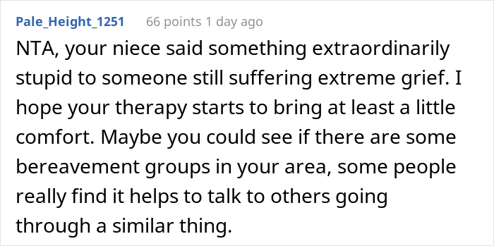 Woman Asks If She&rsquo;s A Jerk For Yelling At Her Niece That The Teen&rsquo;s Dog Is Not Comparable To Her Child