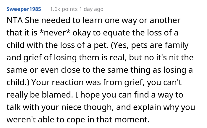 Woman Asks If She&rsquo;s A Jerk For Yelling At Her Niece That The Teen&rsquo;s Dog Is Not Comparable To Her Child