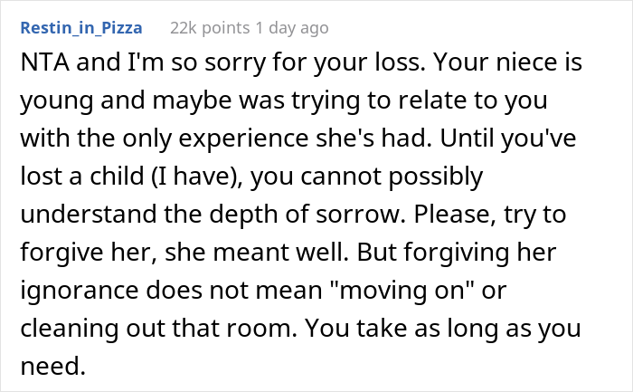 Woman Asks If She&rsquo;s A Jerk For Yelling At Her Niece That The Teen&rsquo;s Dog Is Not Comparable To Her Child