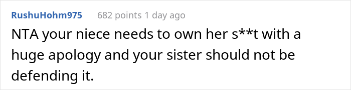 Woman Asks If She&rsquo;s A Jerk For Yelling At Her Niece That The Teen&rsquo;s Dog Is Not Comparable To Her Child