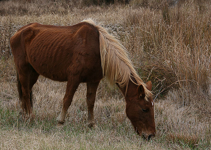 40 Things People Weren’t Aware Of Until Embarrassingly Late In Life