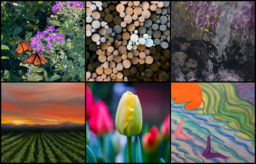 The Colors Of Nature Captured By 114 Artists