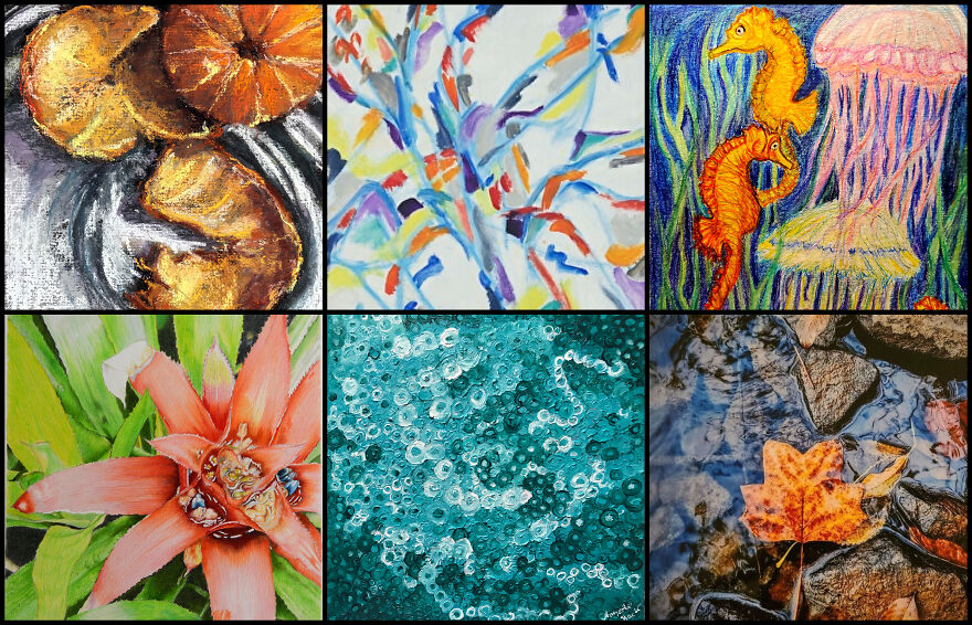 The Colors Of Nature Captured By 114 Artists