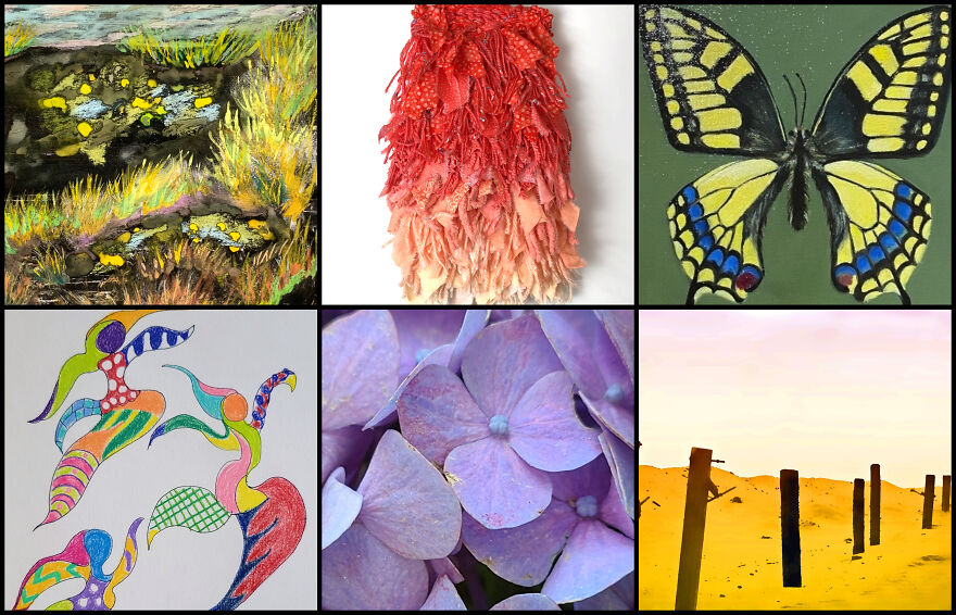 The Colors Of Nature Captured By 114 Artists