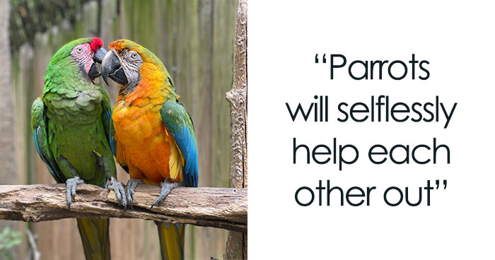 Cool Animal Facts They Don’t Teach You At School