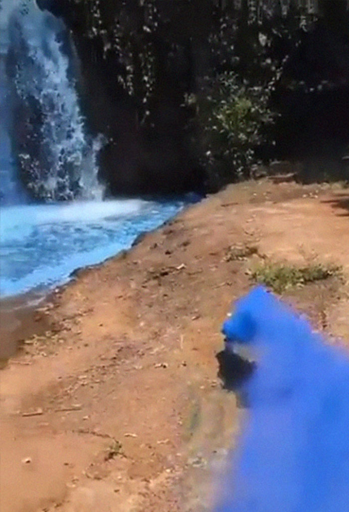 Couple Thought It Was A Good Idea To Dye A Whole Waterfall For Their Gender Reveal Party