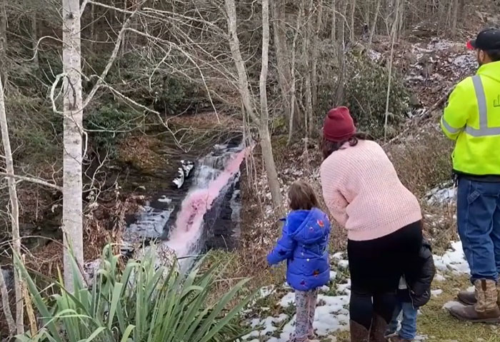 Couple Thought It Was A Good Idea To Dye A Whole Waterfall For Their Gender Reveal Party