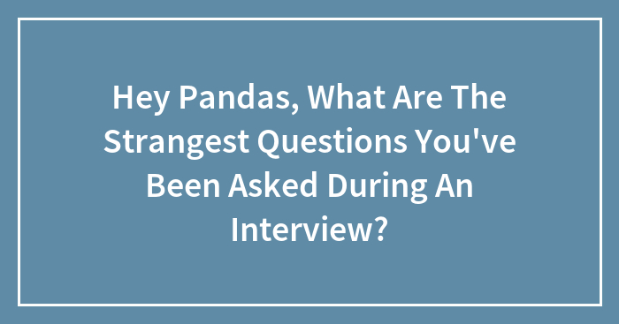 Hey Pandas, What Are The Strangest Questions You’ve Been Asked During An Interview?