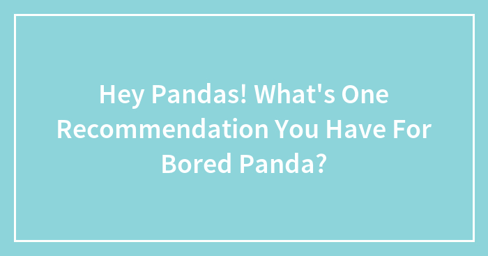 Hey Pandas! What’s One Recommendation You Have For Bored Panda?