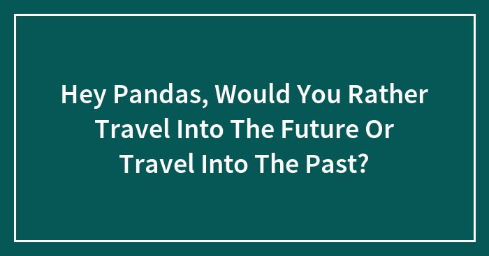Hey Pandas, Would You Rather Travel Into The Future Or Travel Into The Past?