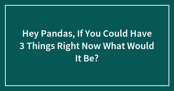 Hey Pandas, If You Could Have 3 Things Right Now What Would It Be?