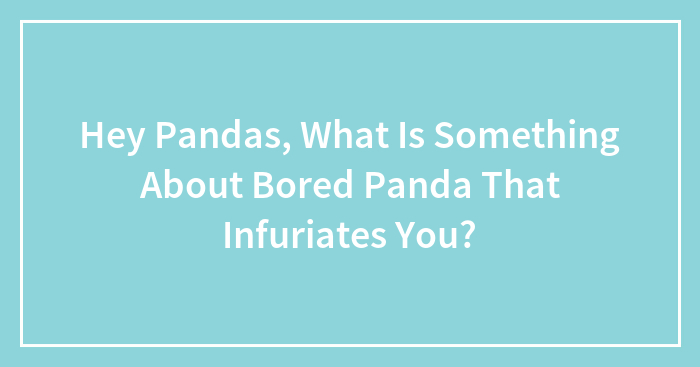 Hey Pandas, What Is Something About Bored Panda That Infuriates You? (Closed)
